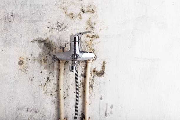 Best HVAC Mold Remediation in Poth, TX