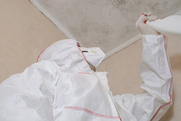 Best Health and Safety Mold Remediation in Poth, TX